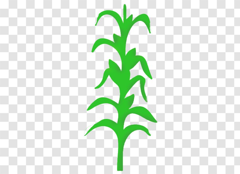 Wall Decal Stencil Mural Painting - Plant Stem - Corn Leaves Transparent PNG
