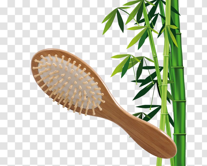 Towel Hairbrush Tropical Woody Bamboos Bathroom - Grass - Baboo Transparent PNG