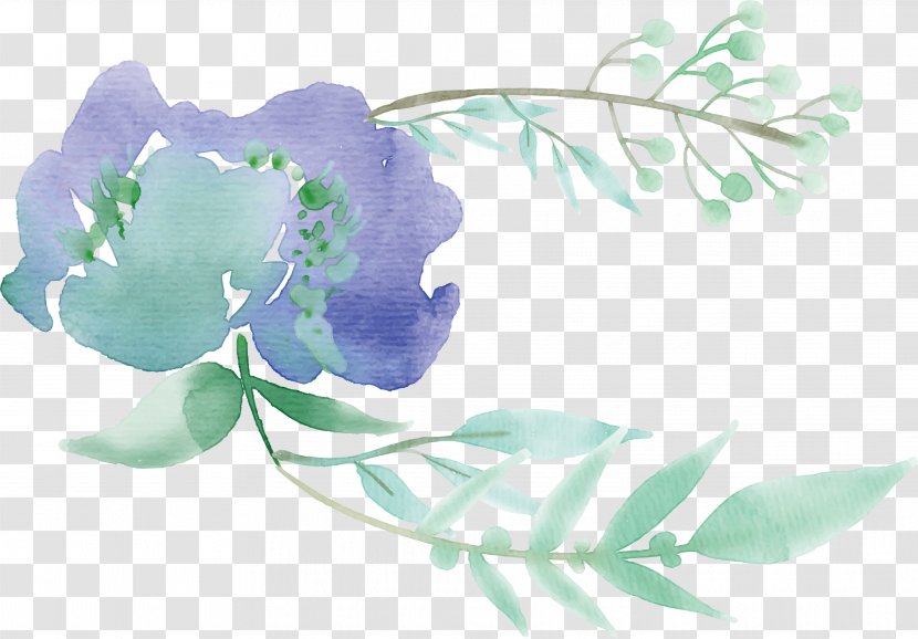 Green Watercolor Painting Flower Mentha Spicata - Mint Flowers Transparent PNG