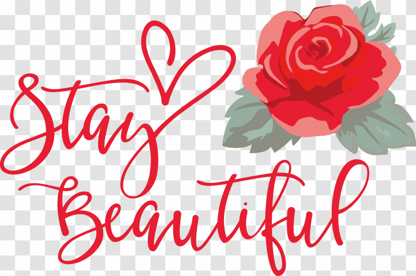 Stay Beautiful Fashion Transparent PNG