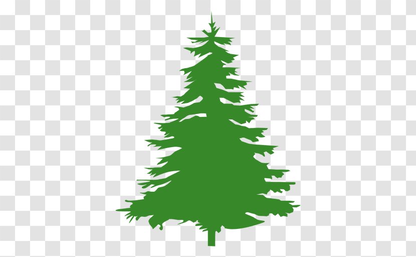Pine Tree - Christmas - Evergreen Transparent PNG