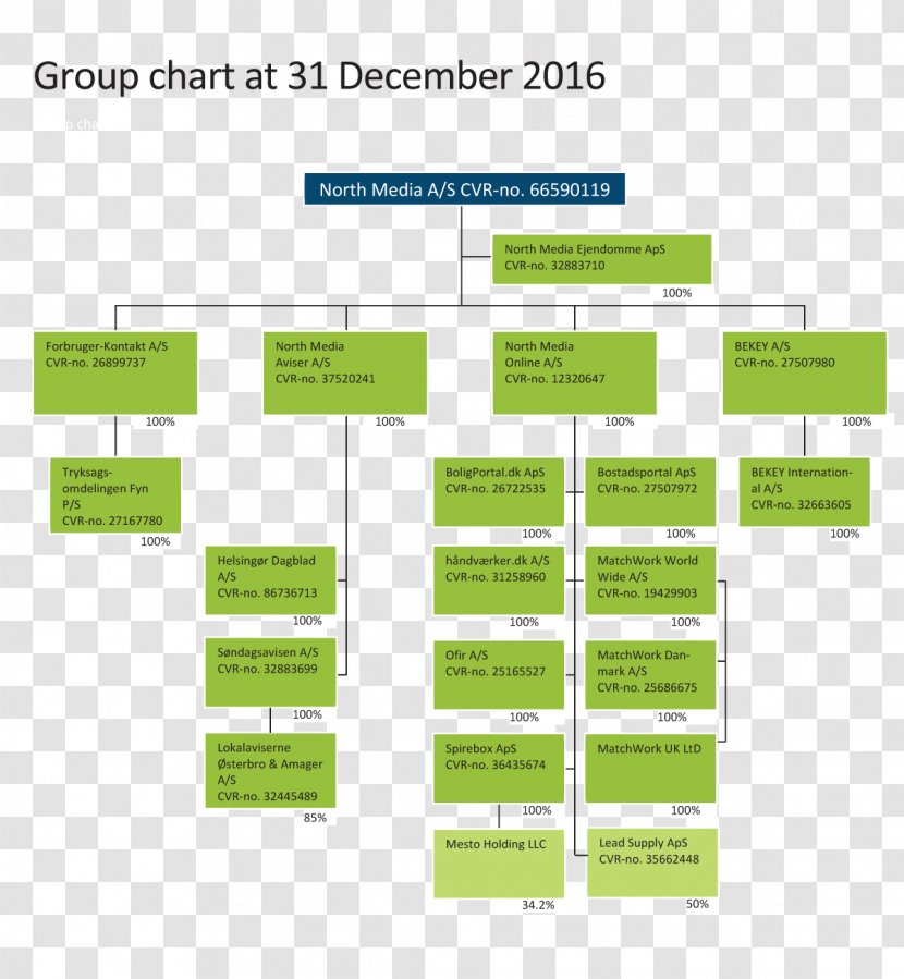 North Media Organization Direktion Aktieselskab - Green - Group Chart Transparent PNG