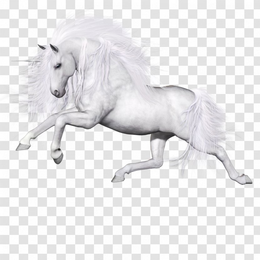 Ferghana Horse Unicorn Pegasus - Like Mammal Transparent PNG