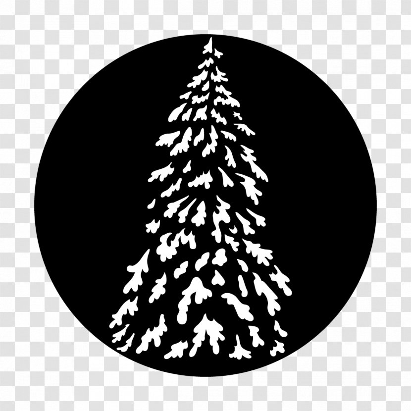 Christmas Tree - Woody Plant - Evergreen Transparent PNG