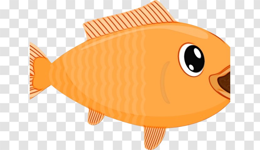 Orange - Goldfish - Fish Products Pomacentridae Transparent PNG