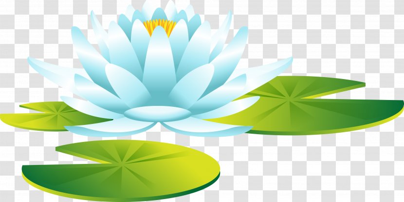 Flower Aquatic Plants Leaf Water - Flora - Waterlily Transparent PNG