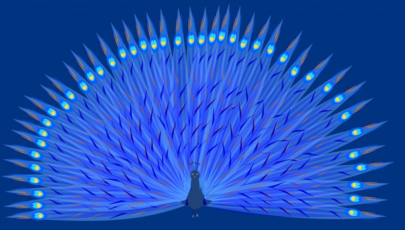 Hand Fan Paper Light Wedding Gift - Peacock Transparent PNG