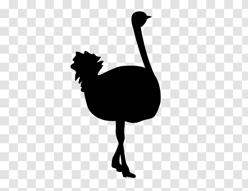Common Ostrich Goose Flightless Bird Silhouette Animal - Emu - Resolution Transparent PNG