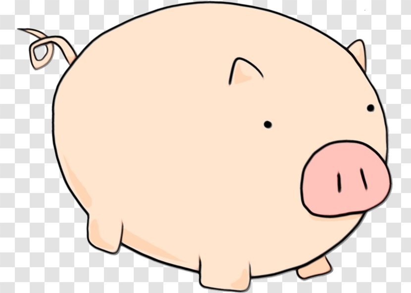 Piggy Bank - Snout - Livestock Transparent PNG