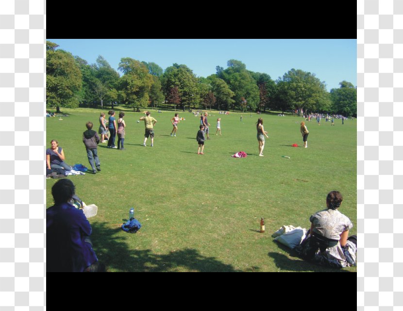 Game Team Sport Lawn Tournament - Rounders Transparent PNG