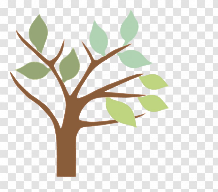 Tree Branch Twig Plant Leaf - Finance - Tree-lined Transparent PNG
