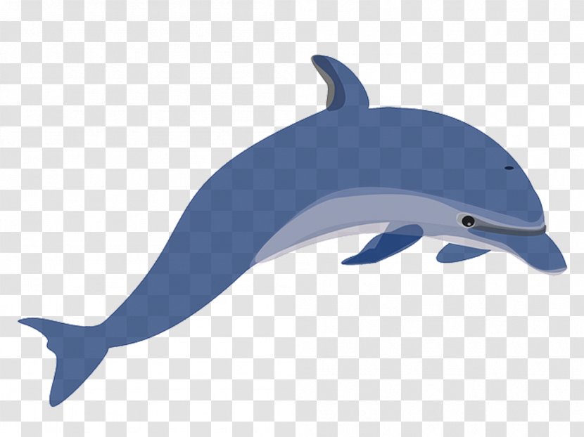 Dolphin Clip Art - Common Bottlenose Transparent PNG