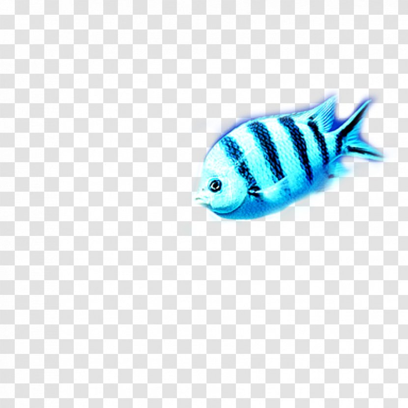 Turquoise Fish Pattern - Cobalt Blue Transparent PNG