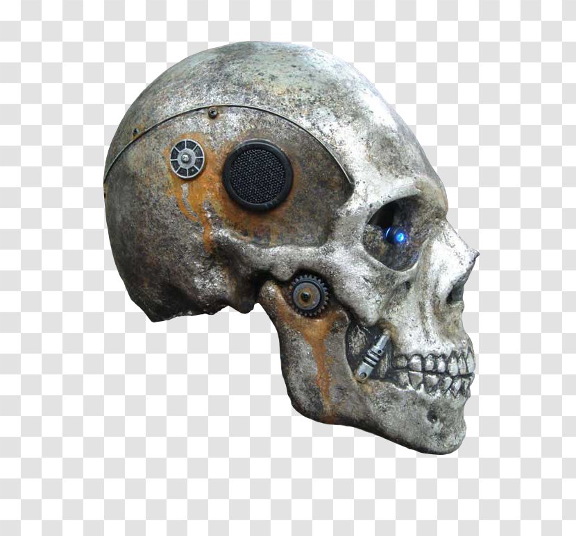 Skull Vertebrate Bone Brain Skeleton - Electro - Image Transparent PNG