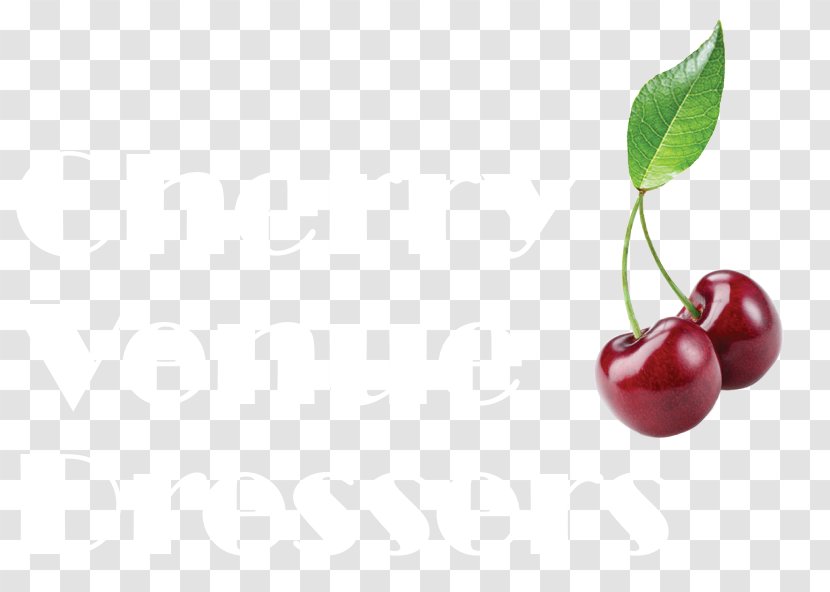Lingonberry Cranberry Still Life Photography Superfood Cherry - Fruit Transparent PNG