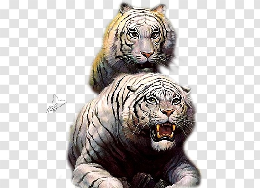 Tiger Conan The Barbarian Savage Valiant - Mammal Transparent PNG