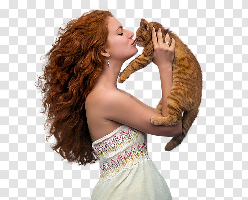 Photography Бойжеткен Portrait Cat Red Hair - Silhouette - Frame Transparent PNG