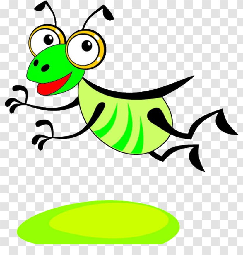 Insect Cartoon Illustration - Icon Design Transparent PNG