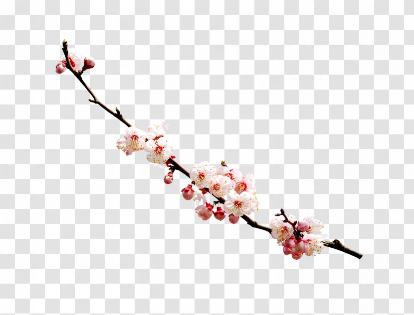 Plum Blossom Red Ink Wash Painting - Twig - Flower Transparent PNG