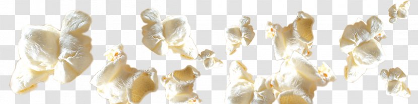 Lighting - Corn Pops Transparent PNG