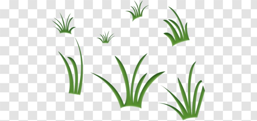 Glade Meadow Herbaceous Plant Tree Collage - Organism - Flowerpot Transparent PNG