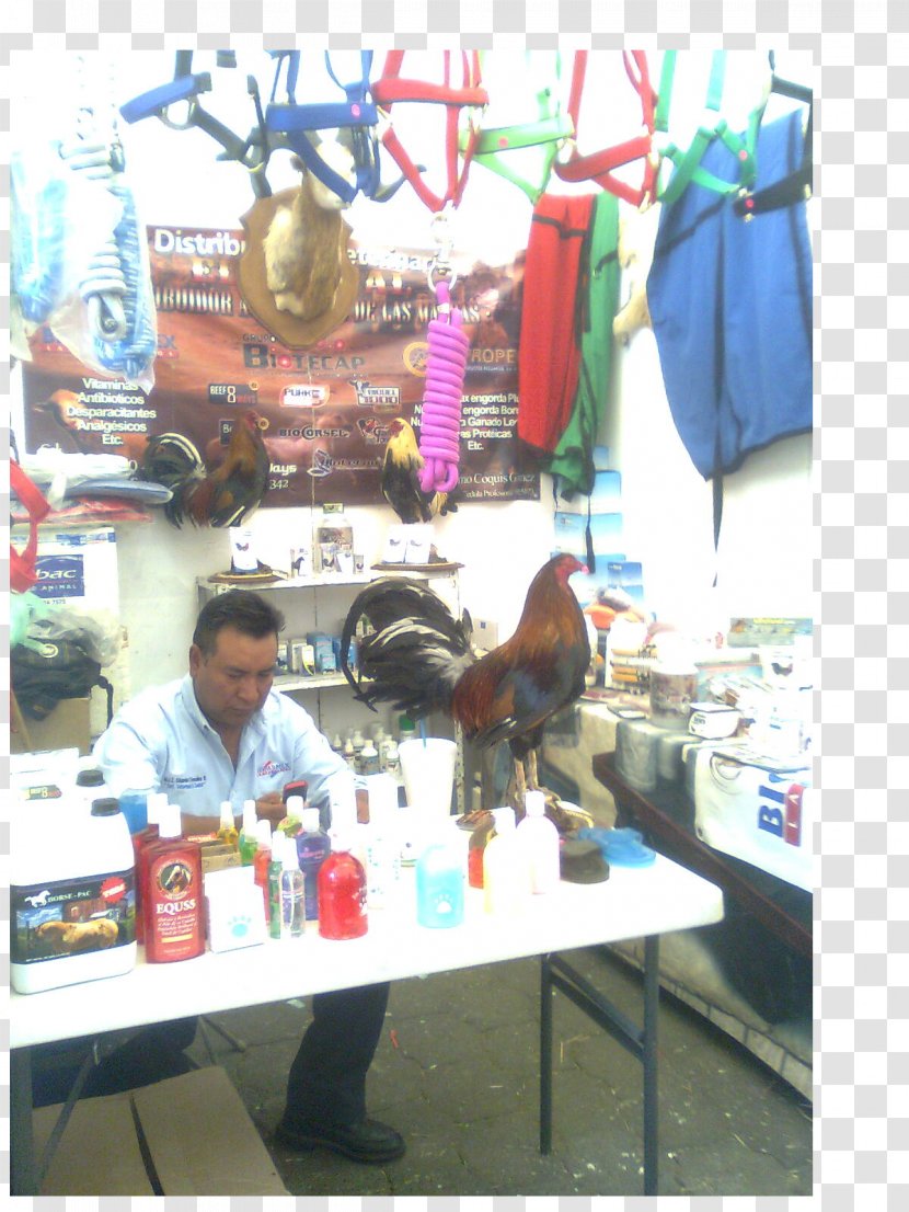 Vendor - Stall - Milpa Transparent PNG