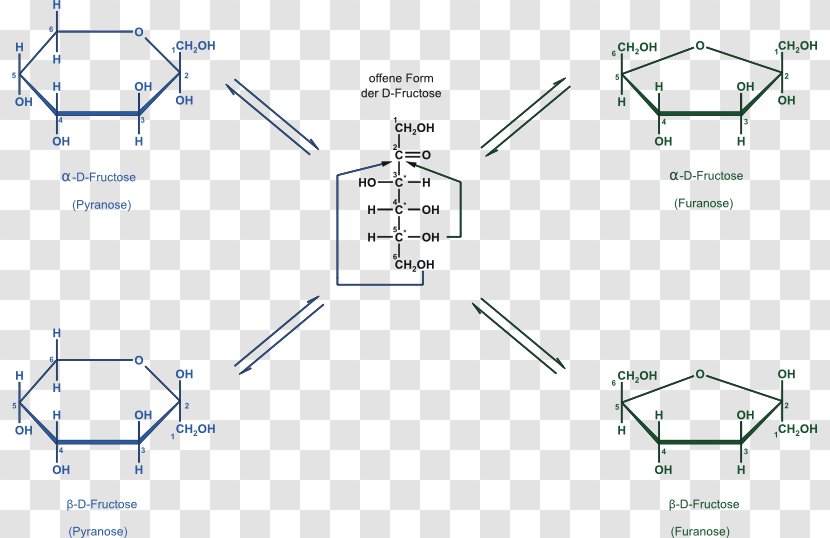 Fructose Pyranose Carbohydrate Point Transparent PNG