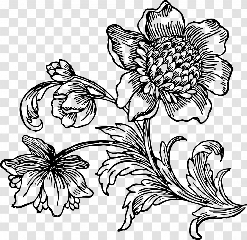 Flower Drawing Line Art Black And White Clip - Petal - Beet Transparent PNG