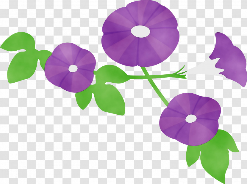 Violet Purple Flower Plant Morning Glory Transparent PNG