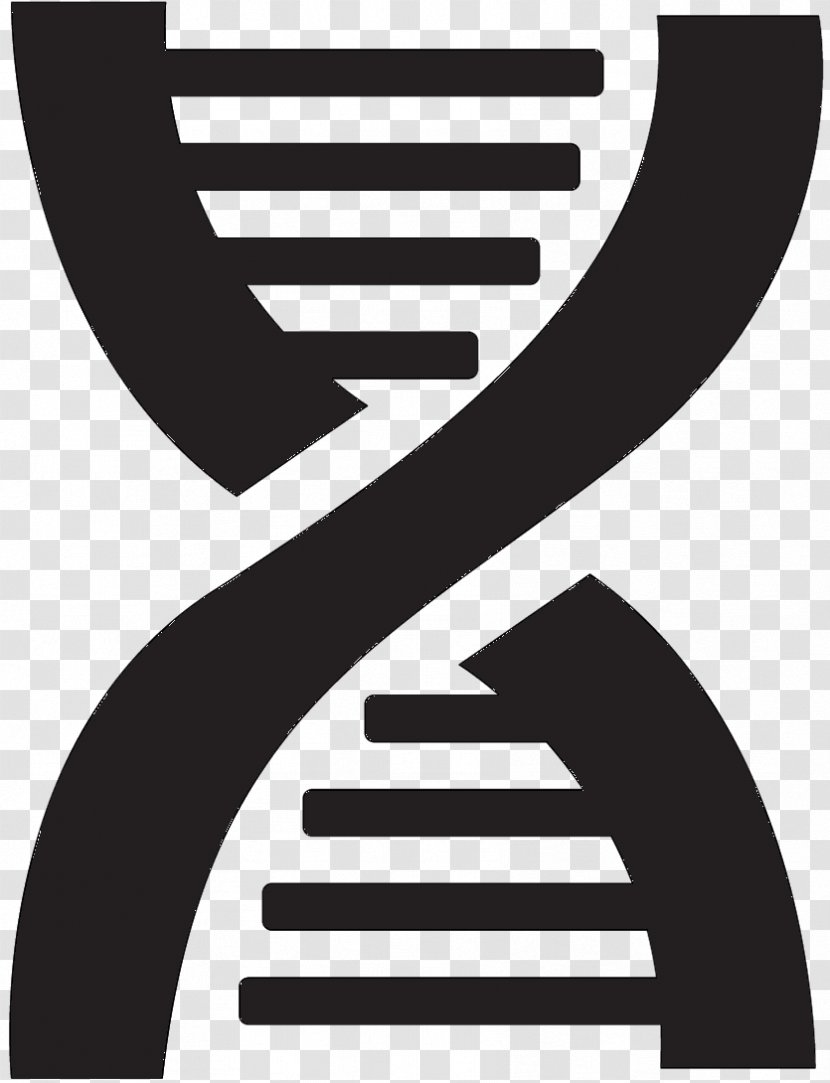 DNA Nucleic Acid Double Helix Vector Graphics Euclidean - Logo - Brand Transparent PNG