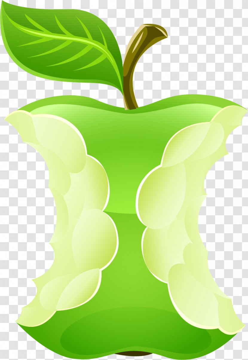 Apple - Cartoon Green Transparent PNG