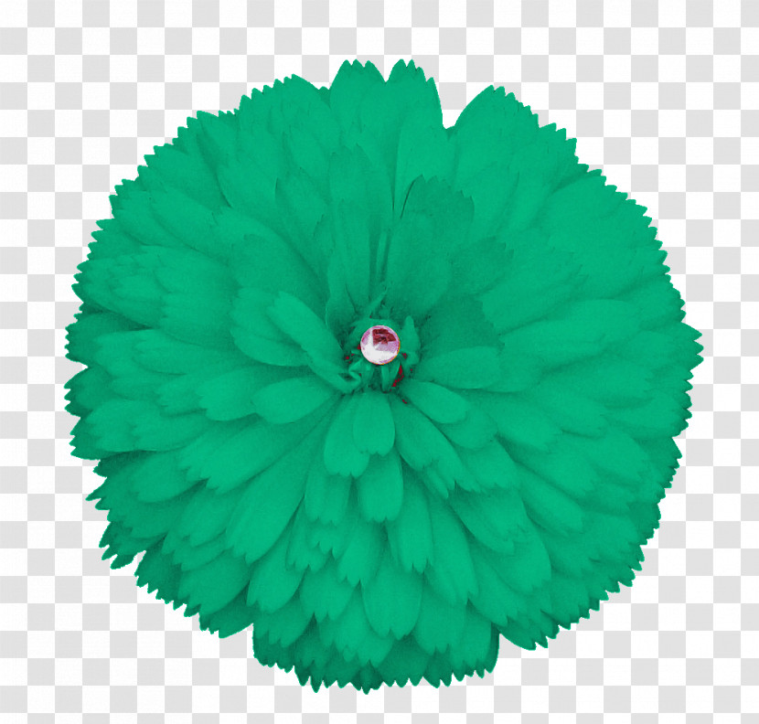 Green Leaf Pom-pom Plant Grass Transparent PNG