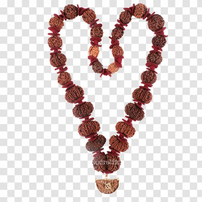 Rudraksha Shiva Rudralife Japamala Hinduism - Buddhist Prayer Beads Transparent PNG