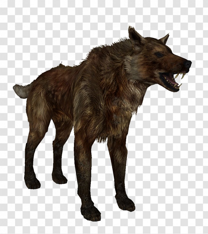 The Elder Scrolls V: Skyrim Oblivion WolfQuest Mod Pack - Arctic Wolf - Magicka Transparent PNG