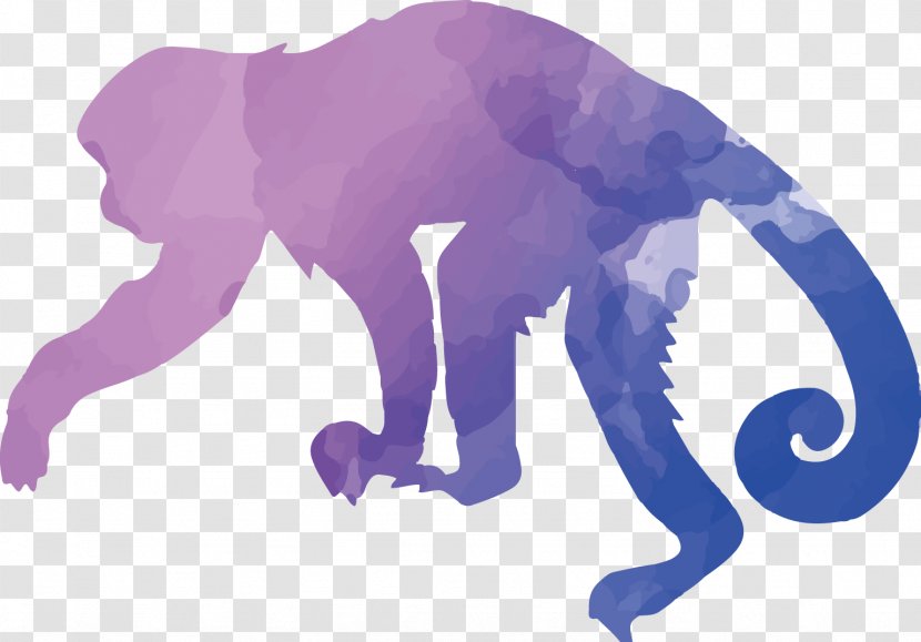 Capuchin Monkey Apes And Monkeys Tufted - Indian Elephant - Colorful Animal Silhouettes Set Transparent PNG