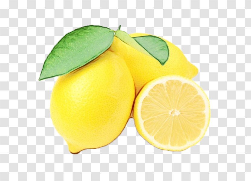 Lemon Citrus Fruit Yellow Food - Plant - Lemonlime Citric Acid Transparent PNG