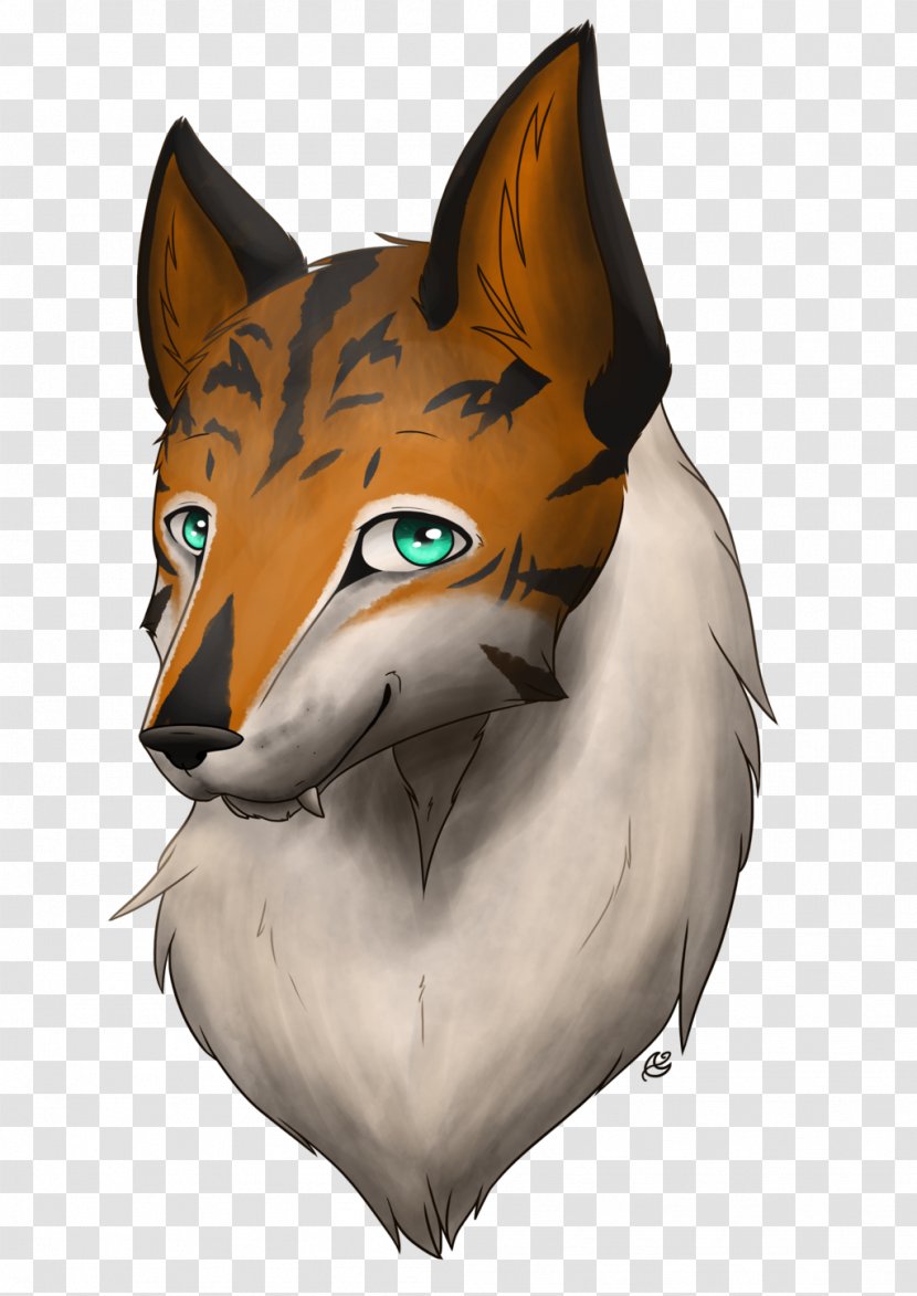 Whiskers Red Fox Cat Snout Transparent PNG