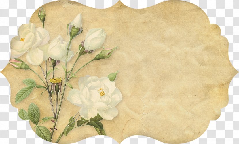 Paper Flower Botany Botanical Illustration Painting - Floral Design - Vintage Computer Transparent PNG
