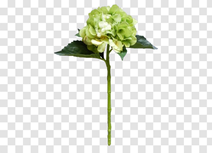 Hydrangea Cut Flowers Floral Design Artificial Flower Transparent PNG