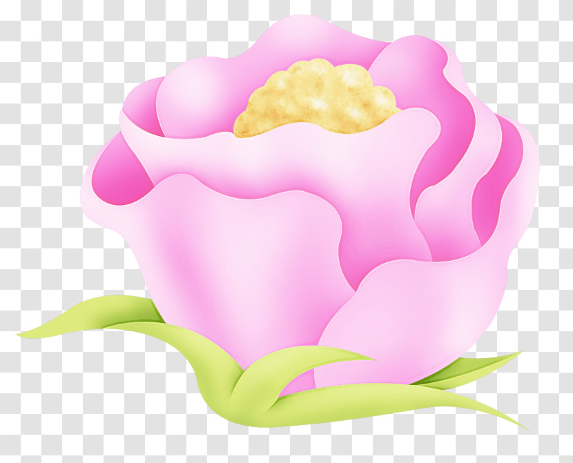 Pink Petal Plant Flower Cloud Transparent PNG