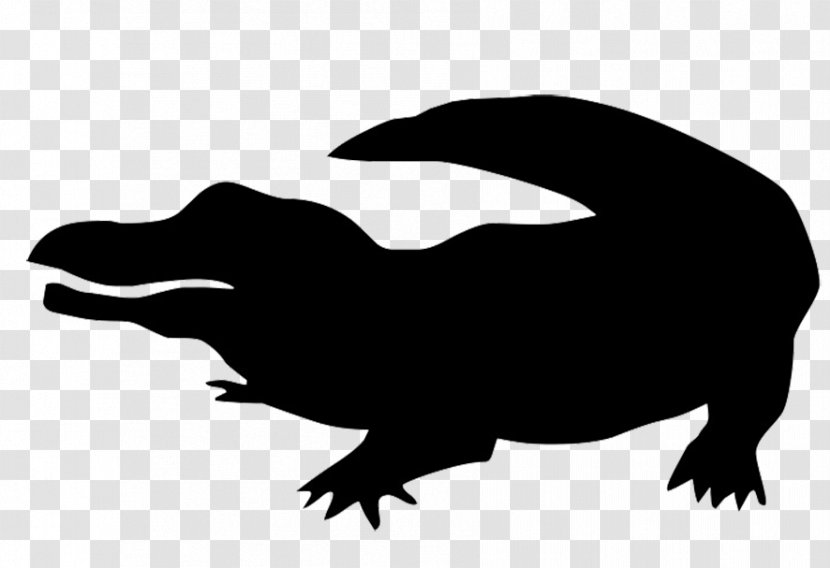 Alligator Cartoon - Zazzle - Tail Blackandwhite Transparent PNG
