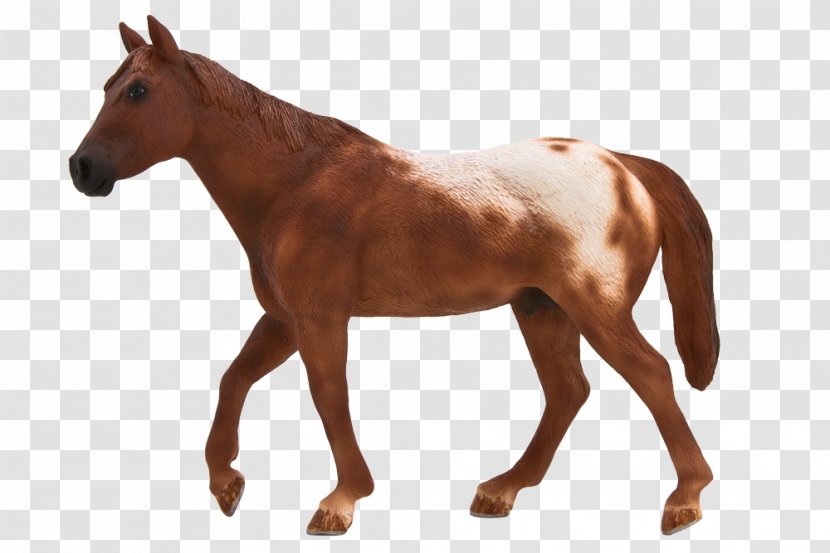 Appaloosa American Quarter Horse Thoroughbred Stallion Hanoverian - Sorrel - Animal Planet Transparent PNG