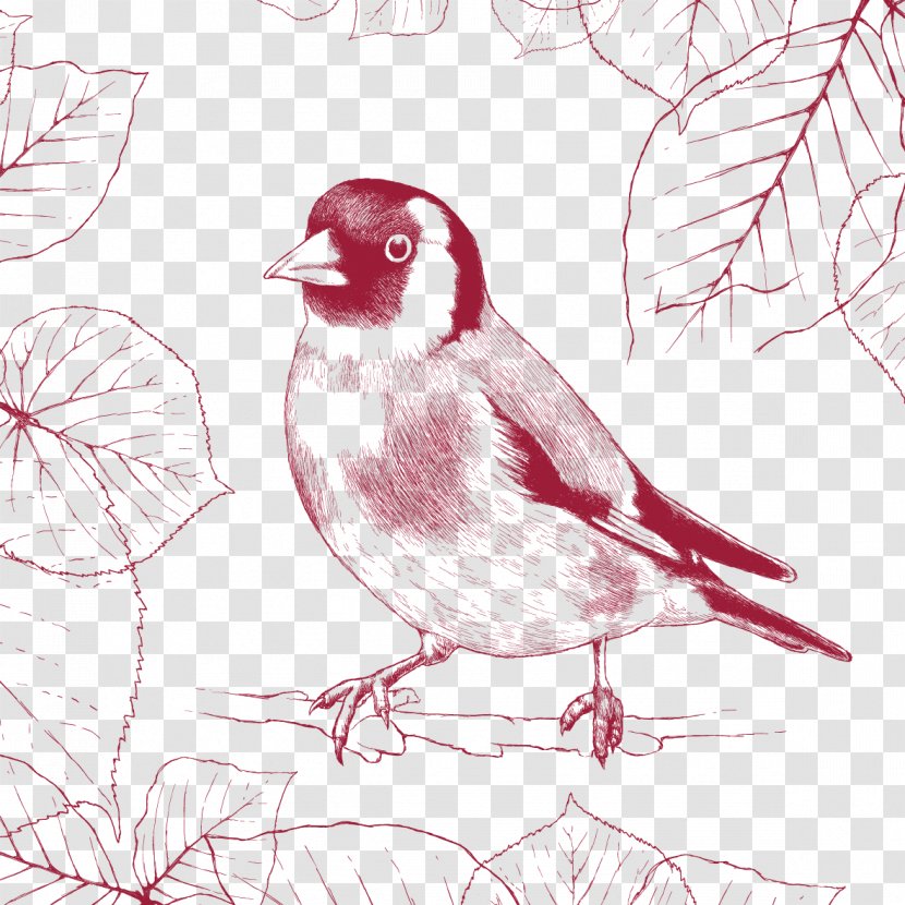 Bird - Emberizidae - Tree Sparrow Transparent PNG