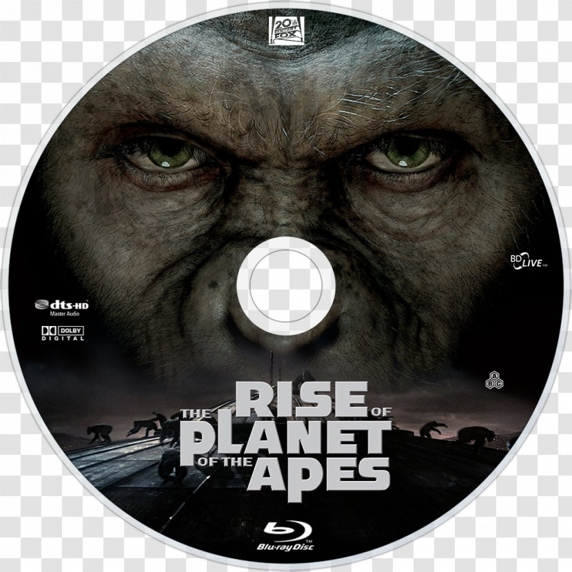 Film Poster Television - Fan Art - Planet Of The Apes Transparent PNG