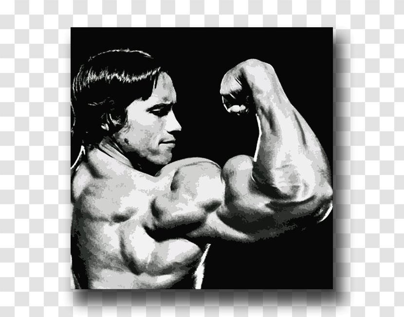 Arnold Schwarzenegger Arm Bodybuilding Biceps Muscle - Heart Transparent PNG