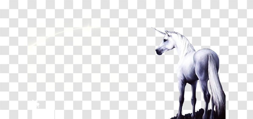 Unicorn Horse Pixel - Mythical Creature Transparent PNG