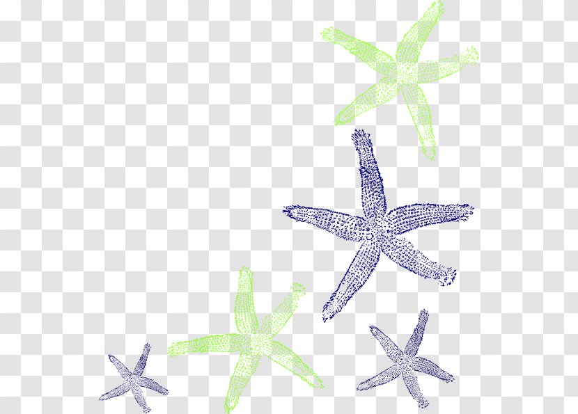 Drawing Clip Art - Blue Starfish Transparent PNG