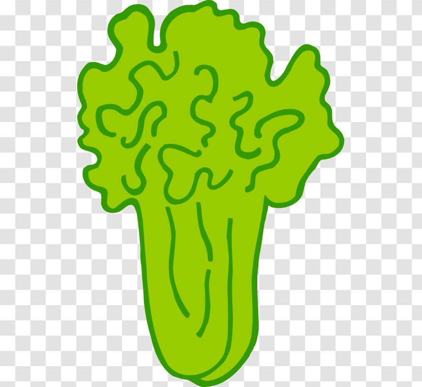 Vegetable Napa Cabbage Chinese - Plant Stem - Vegetables Cartoons Transparent PNG