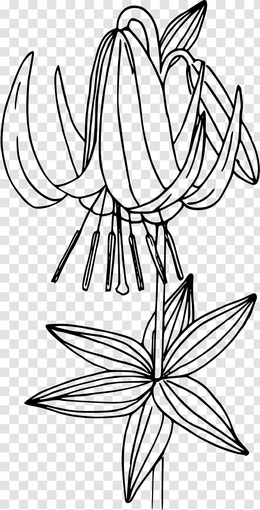 Visual Arts Black And White - Plant - Callalily Transparent PNG