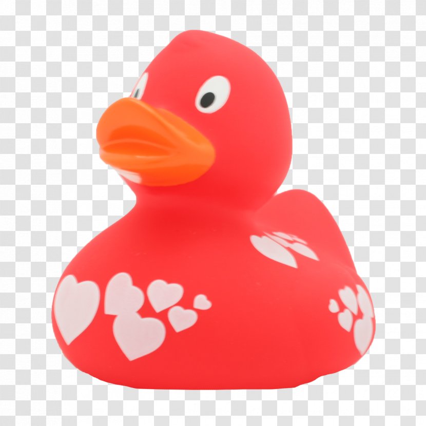 Rubber Duck Natural Domestic Toy - Bird Transparent PNG